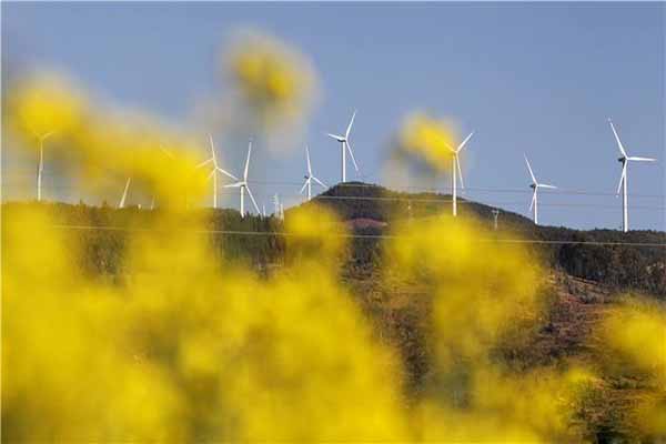海南風電建設終發(fā)力 13個區(qū)域成為候選風電場